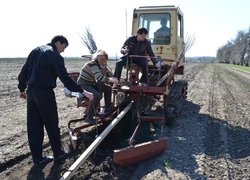 Закладання нового саду в Уманському НУС